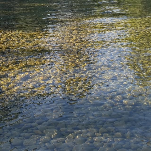 Sunlit ripples moving over a pebbled riverbed